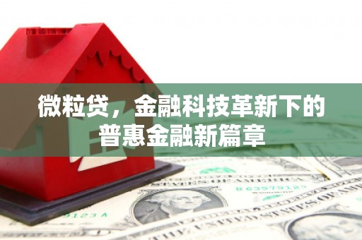 港南微粒贷，金融科技革新下的普惠金融新篇章