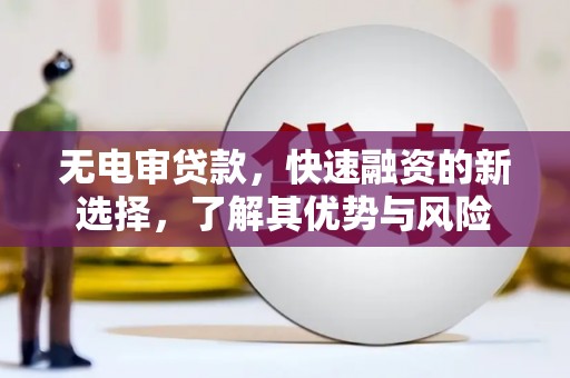 港南无电审贷款，快速融资的新选择，了解其优势与风险