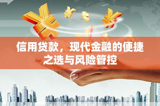 港南信用贷款，现代金融的便捷之选与风险管控