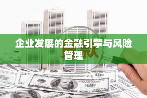 港南企业发展的金融引擎与风险管理