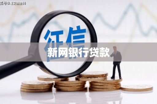 港南新网银行贷款