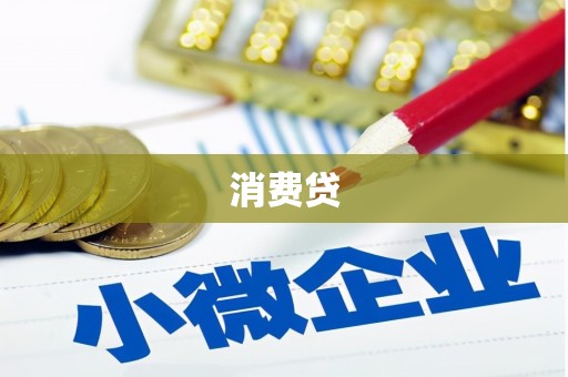 港南消费贷