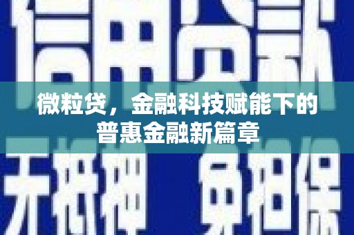 港南微粒贷，金融科技赋能下的普惠金融新篇章