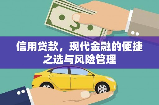 港南信用贷款，现代金融的便捷之选与风险管理