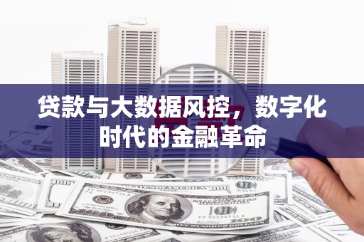 港南贷款与大数据风控，数字化时代的金融革命