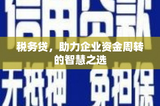 港南税务贷，助力企业资金周转的智慧之选