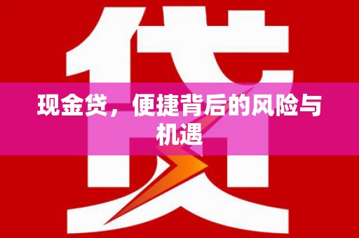 港南现金贷，便捷背后的风险与机遇