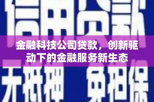 港南金融科技公司贷款，创新驱动下的金融服务新生态