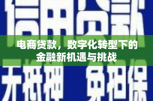 港南电商贷款，数字化转型下的金融新机遇与挑战