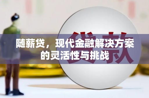 港南随薪贷，现代金融解决方案的灵活性与挑战