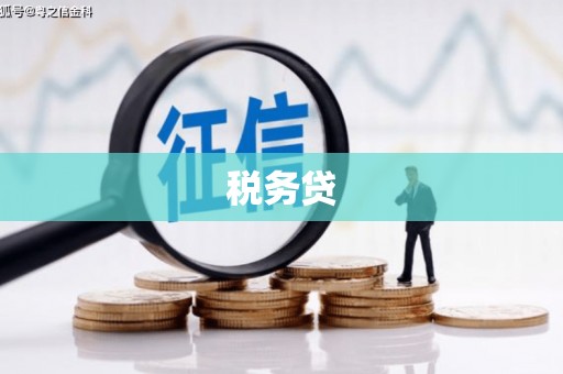 港南税务贷