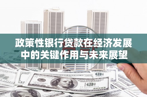 港南政策性银行贷款在经济发展中的关键作用与未来展望