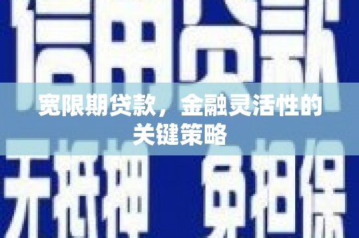 港南宽限期贷款，金融灵活性的关键策略