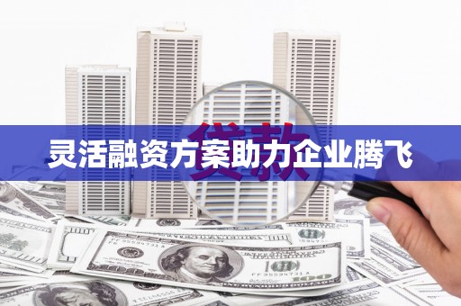 港南灵活融资方案助力企业腾飞