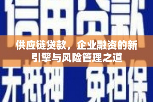 港南供应链贷款，企业融资的新引擎与风险管理之道
