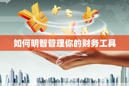 港南如何明智管理你的财务工具