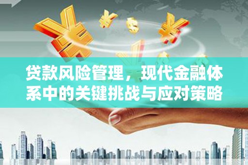港南贷款风险管理，现代金融体系中的关键挑战与应对策略
