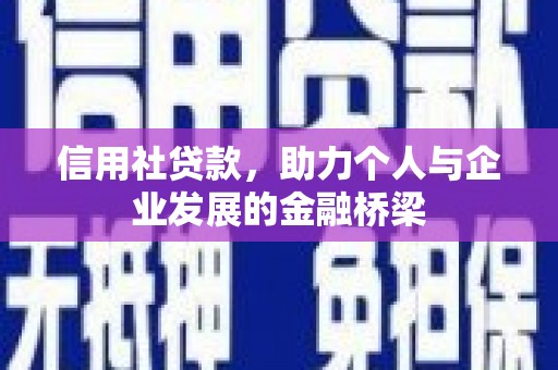 港南信用社贷款，助力个人与企业发展的金融桥梁