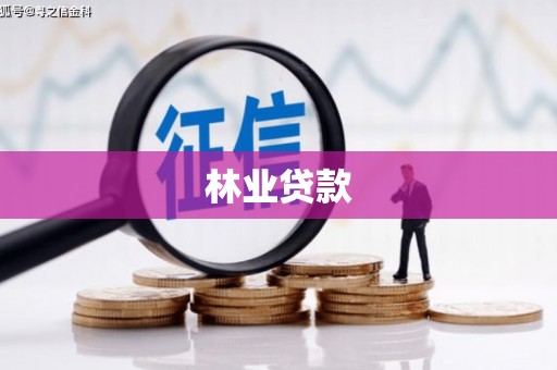 港南林业贷款