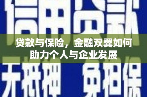 港南贷款与保险，金融双翼如何助力个人与企业发展