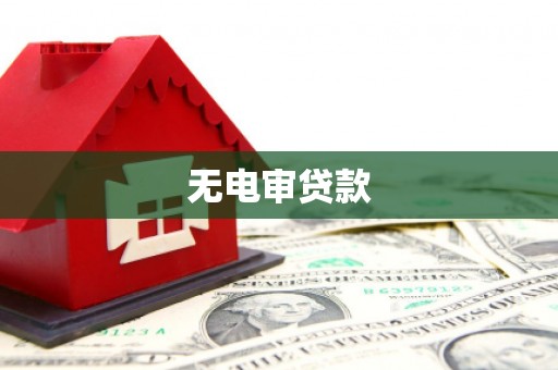 港南无电审贷款