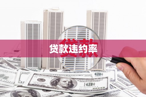 港南贷款违约率