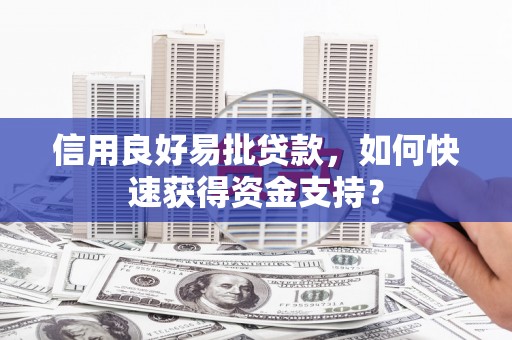 港南信用良好易批贷款，如何快速获得资金支持？