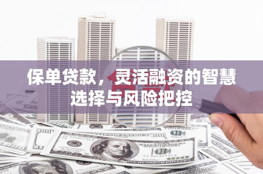 港南保单贷款，灵活融资的智慧选择与风险把控