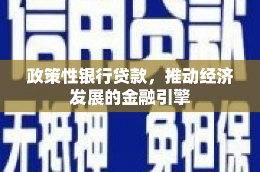 港南政策性银行贷款，推动经济发展的金融引擎