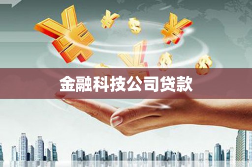港南金融科技公司贷款