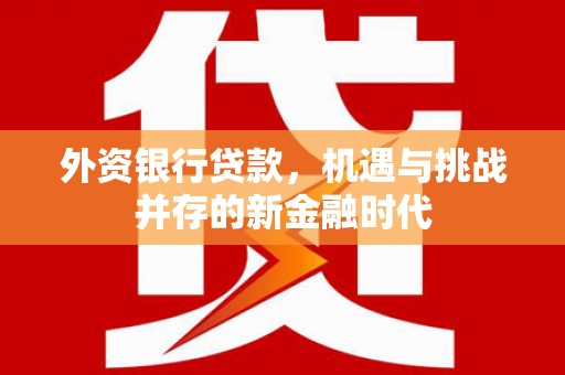 港南外资银行贷款，机遇与挑战并存的新金融时代