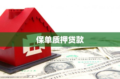 港南保单质押贷款