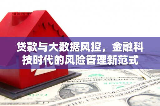 港南贷款与大数据风控，金融科技时代的风险管理新范式