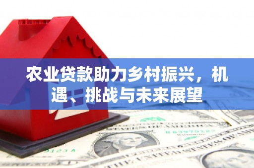 港南农业贷款助力乡村振兴，机遇、挑战与未来展望