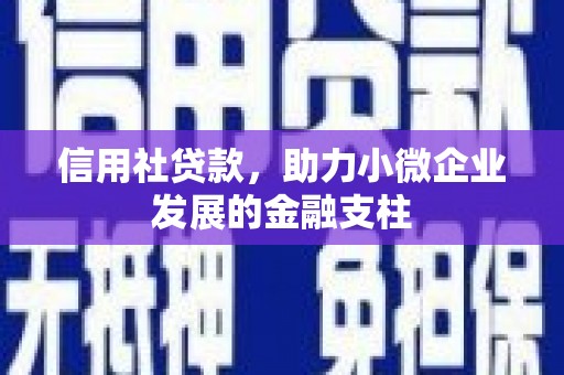 港南信用社贷款，助力小微企业发展的金融支柱