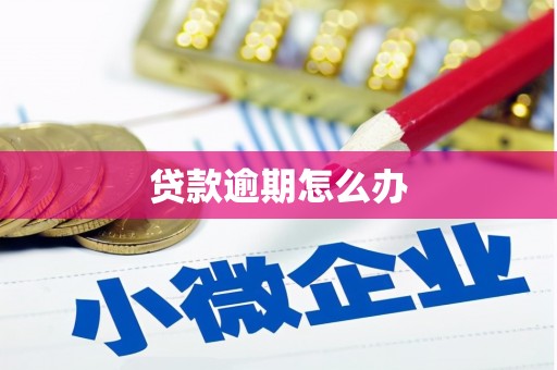 港南贷款逾期怎么办