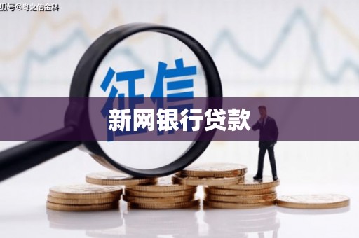 港南新网银行贷款