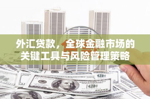 港南外汇贷款，全球金融市场的关键工具与风险管理策略