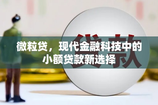 港南微粒贷，现代金融科技中的小额贷款新选择
