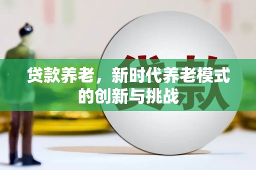 港南贷款养老，新时代养老模式的创新与挑战