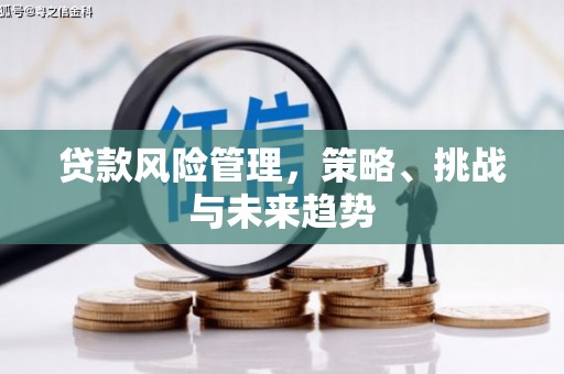 港南贷款风险管理，策略、挑战与未来趋势