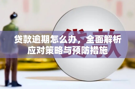 港南贷款逾期怎么办，全面解析应对策略与预防措施