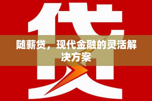 港南随薪贷，现代金融的灵活解决方案