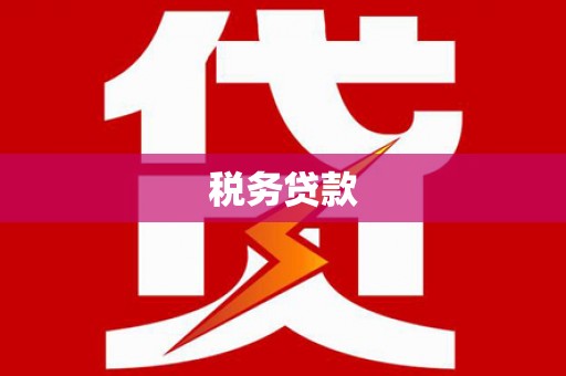 港南税务贷款