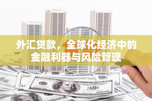 港南外汇贷款，全球化经济中的金融利器与风险管理