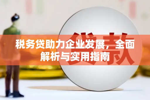 港南税务贷助力企业发展，全面解析与实用指南