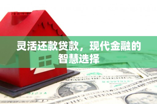 港南灵活还款贷款，现代金融的智慧选择