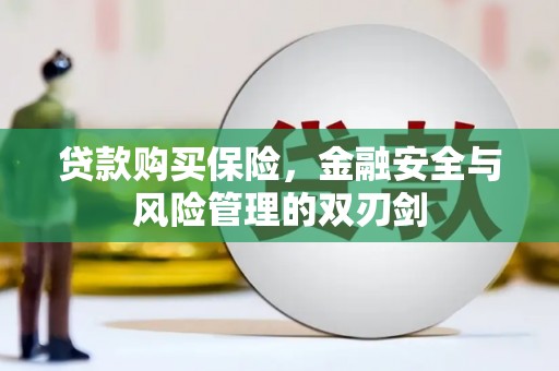 港南贷款购买保险，金融安全与风险管理的双刃剑
