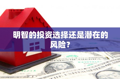 港南明智的投资选择还是潜在的风险？