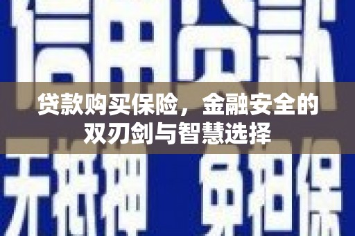 港南贷款购买保险，金融安全的双刃剑与智慧选择
